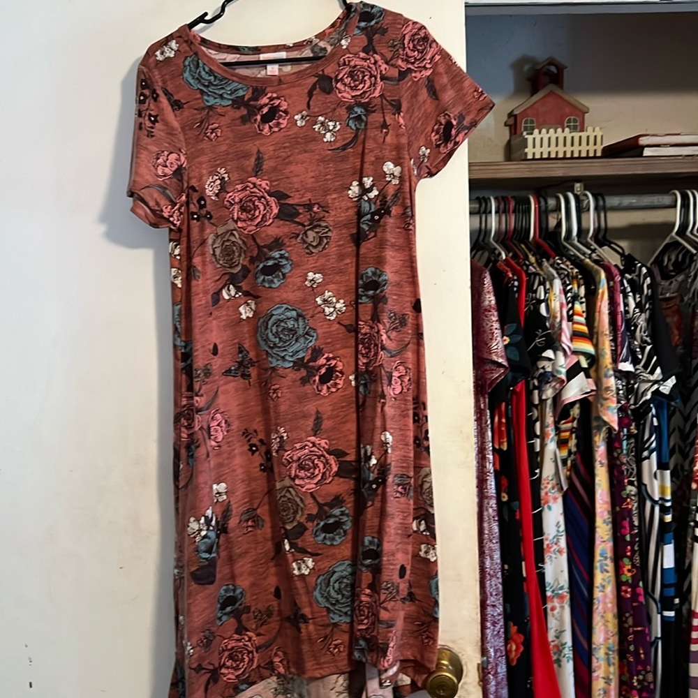 Small LulaRoe Carly